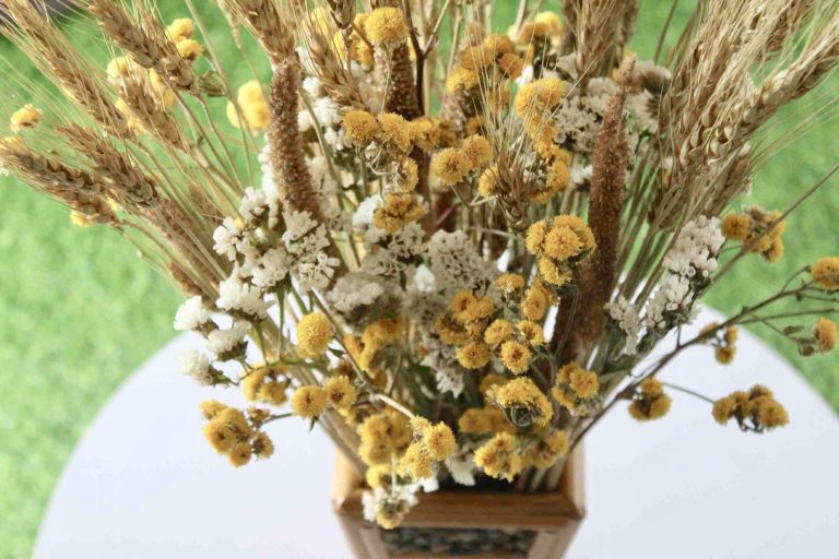 Same-Day Flower Delivery: Order For Timeless Elegance Of Dried Flowers